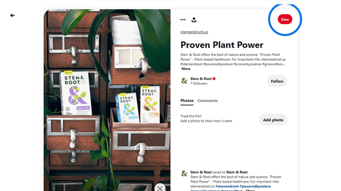 Stem & Root Pin
